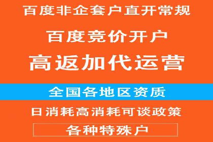案例研究：SEM开户助力电商快速崛起