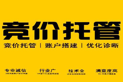 信息流竞价优化技巧：案例分析与应用